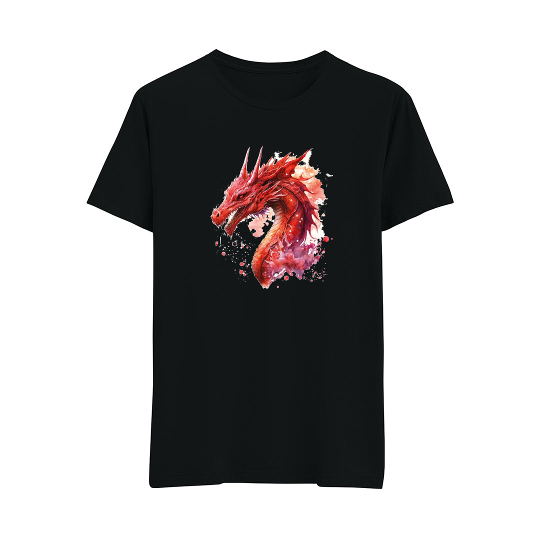 Dragons-29- Regular T-Shirt